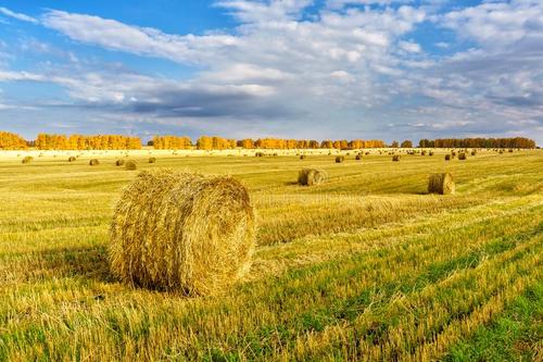 我國(guó)肥料分類及執(zhí)行標(biāo)準(zhǔn)大全